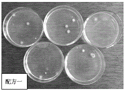 A kind of natural air cleaner and preparation method thereof