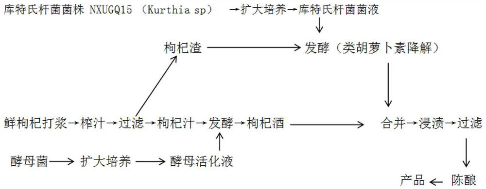 Preparation method of fermented wolfberry residue and aroma-enhancing wolfberry wine