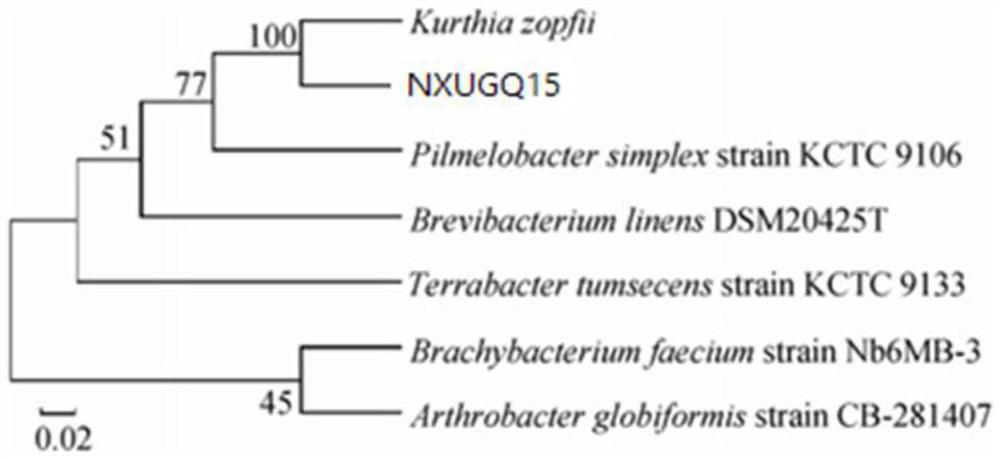 Preparation method of fermented wolfberry residue and aroma-enhancing wolfberry wine