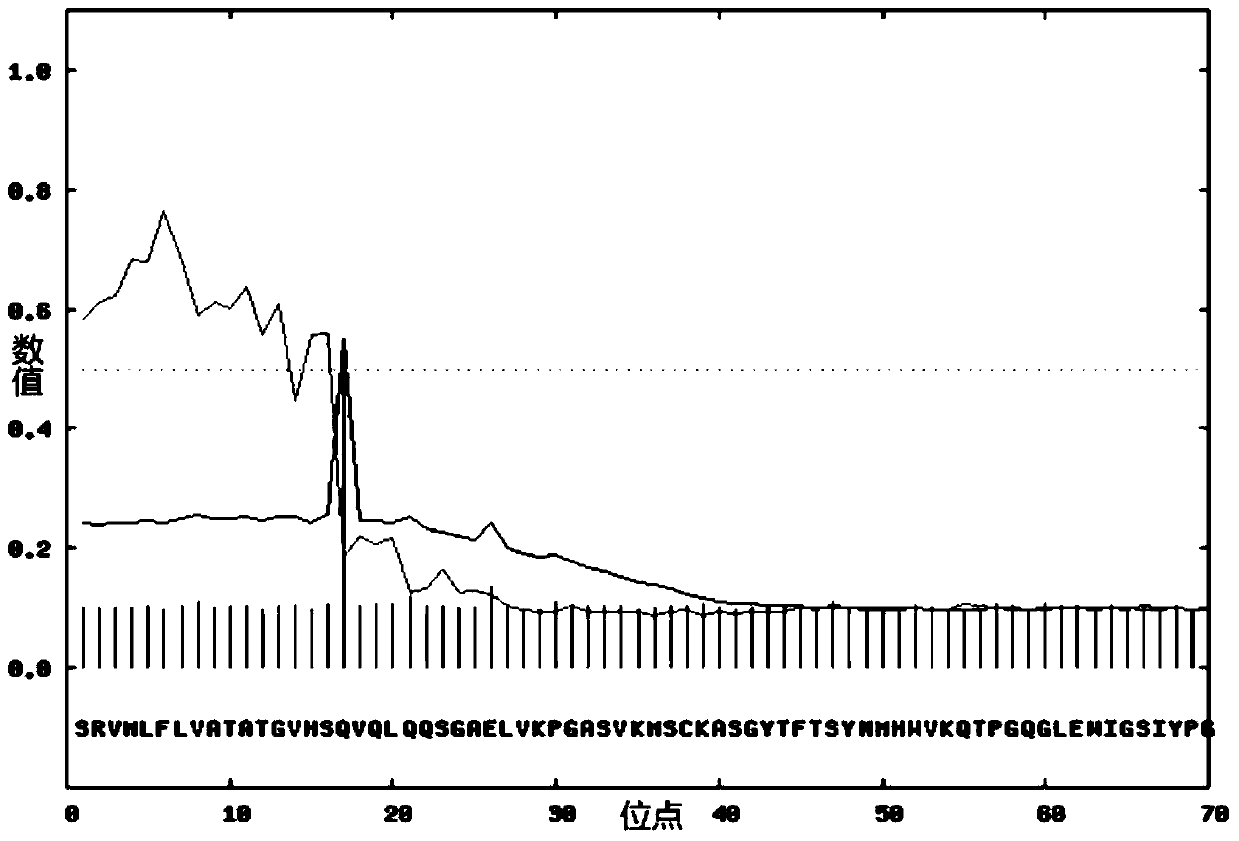 Humanized antibody targeted to RANKL (Receptor Activator Of Nuclear Factor Kappa B Ligand) and TNF-alpha (Tumor Necrosis Factor) and application of humanized antibody