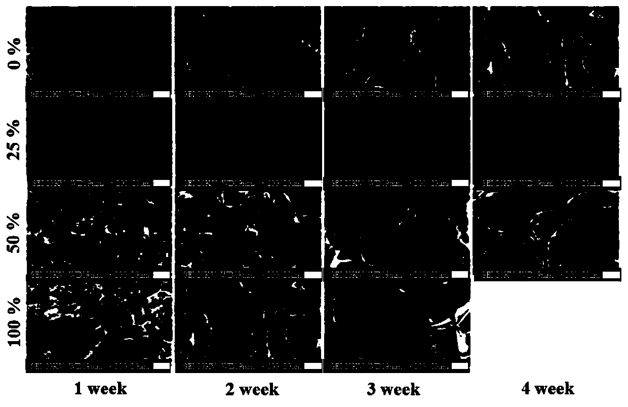 POSS-PEG hybrid hydrogel capable of adjusting degradation rate and preparation method and application thereof