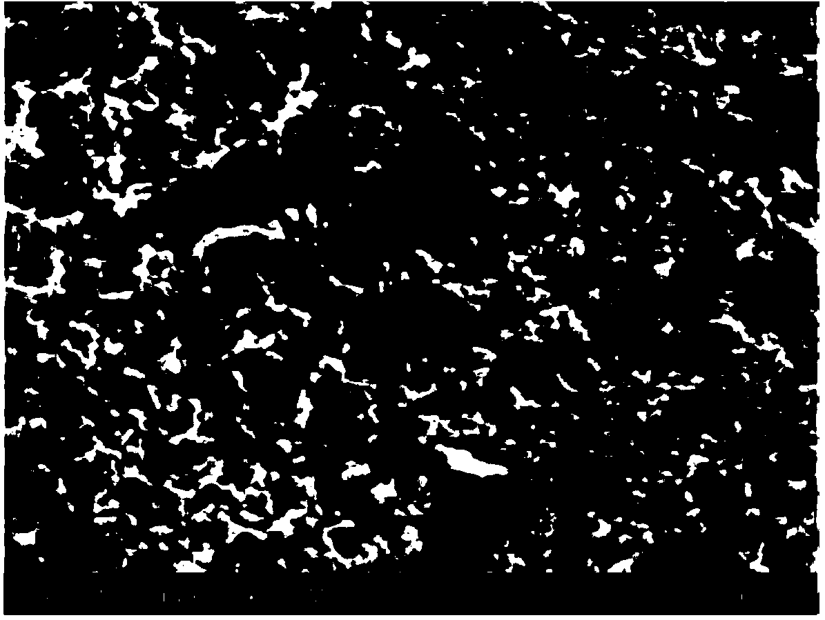 Dendritic iron nitride powder and preparation method thereof