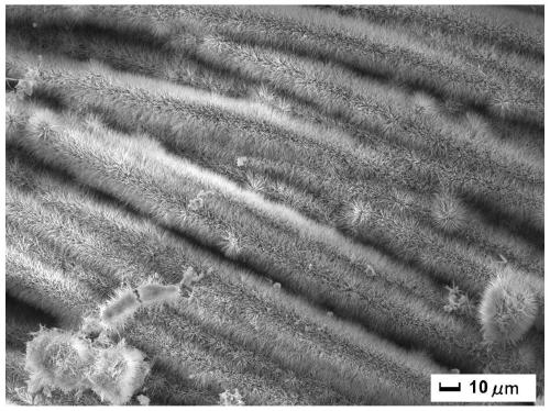 Preparation method of carbon cloth-based ferric cobaltate/molybdenum disulfide graded structure electrode material