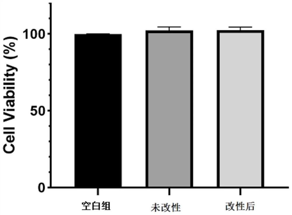 Antibacterial bionic coating as well as preparation method and application thereof