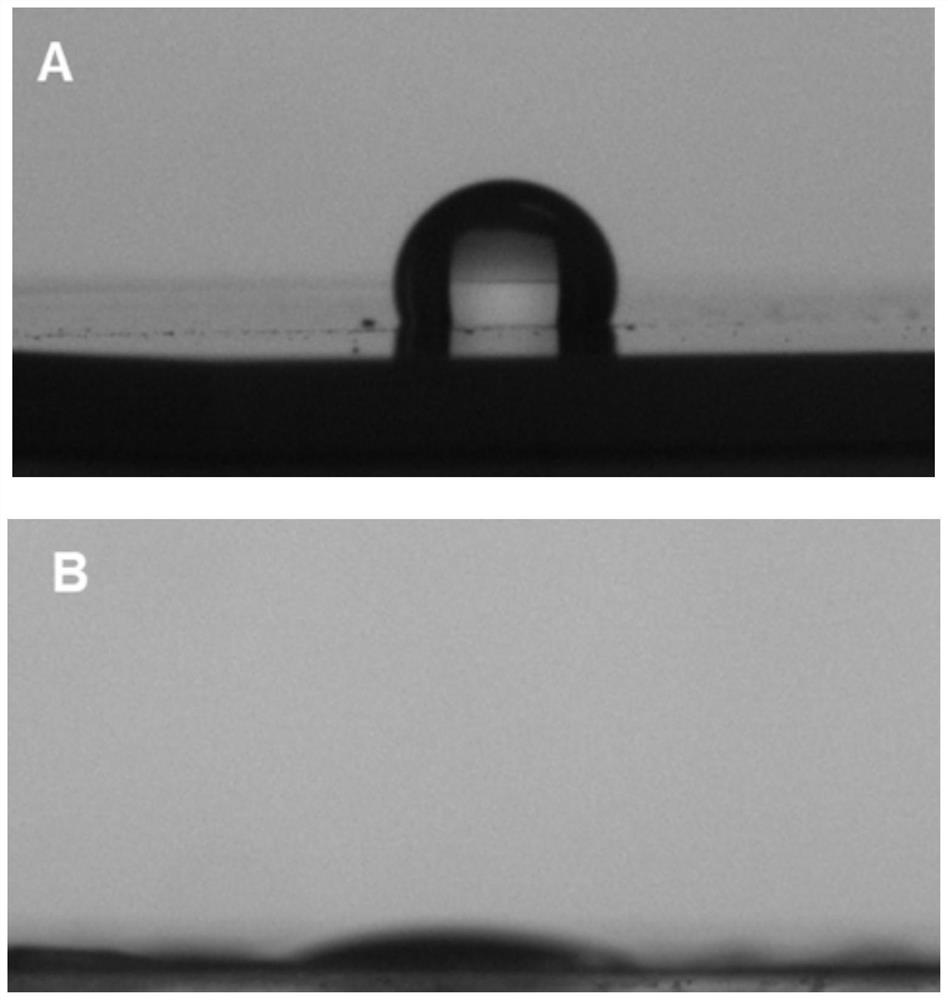 Antibacterial bionic coating as well as preparation method and application thereof