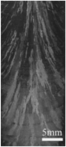 Cold crucible directional solidification method for refining lamellar structure of TiAl alloy