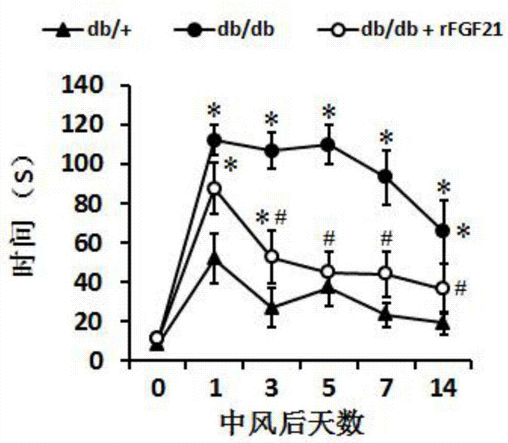 Application of human FGF21 (fibroblast growth factor 21) in preparing medicines for treating stroke