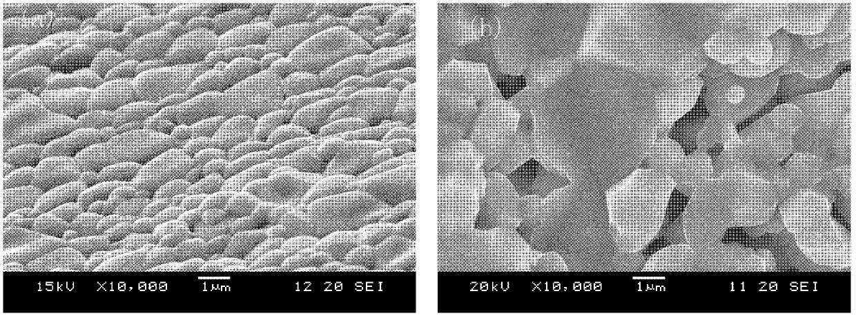 Method for preparing high-performance ferrite material with microwave sintering method