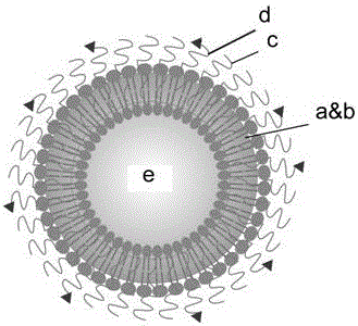 Tumor targeted lipidosome drug-delivering system, preparation method and application