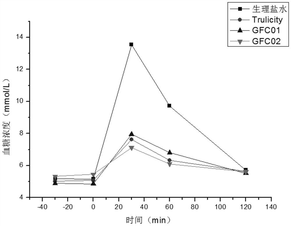 glp-1 analog fc fusion polypeptide and application thereof