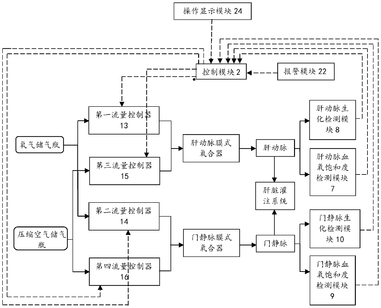 Gas delivery system for hepatic perfusion