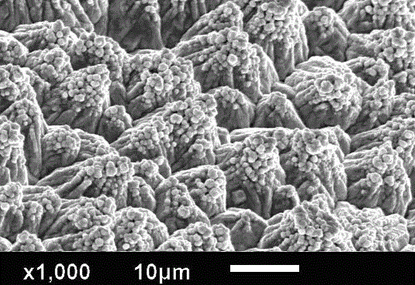 A process method for surface treatment of electrolytic copper foil and the treated copper foil