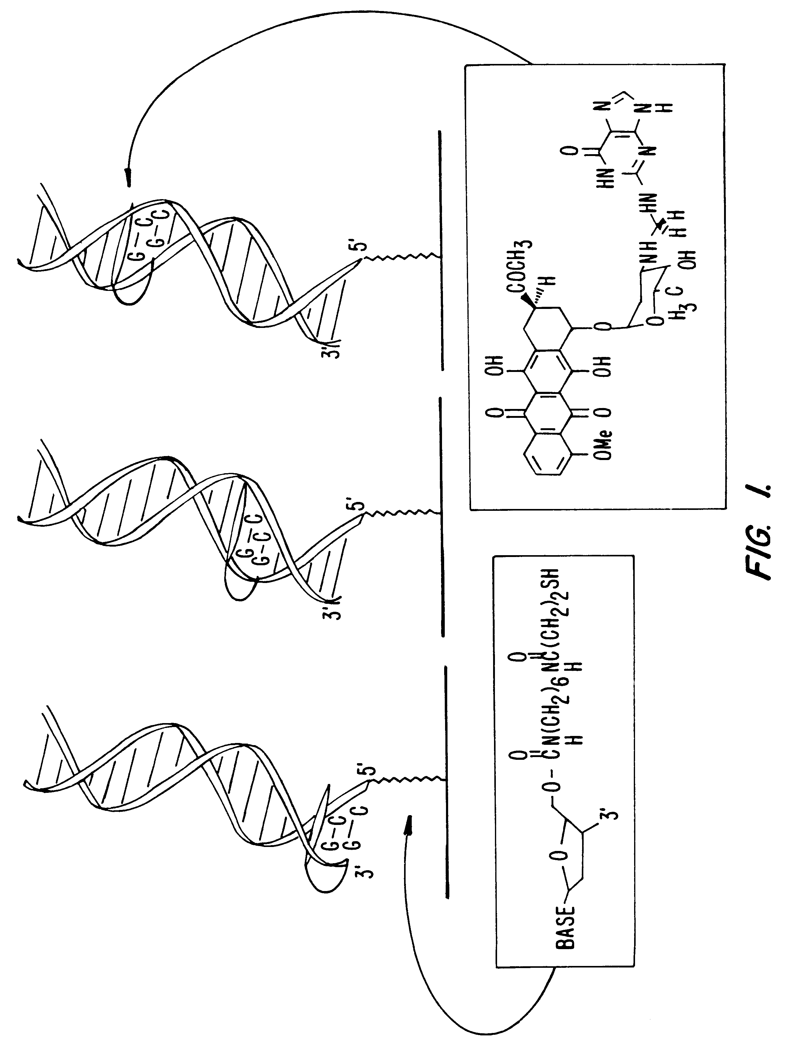 Electrochemical sensor using intercalative, redox-active moieties