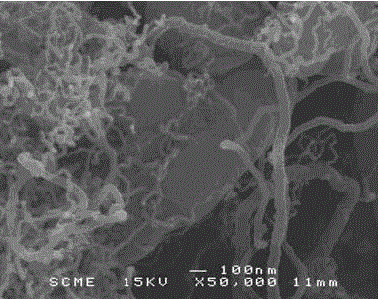 Method for immobilizing deinococcus radiodurans with functional magnetic carriers and application of method