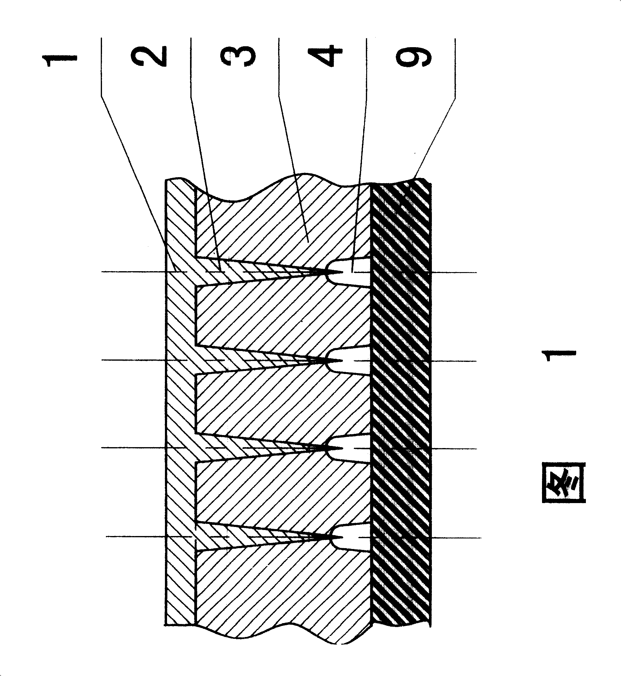 Mfg. field emitting vacuum microelectronic element by utilizing nulear track tech and display thereof