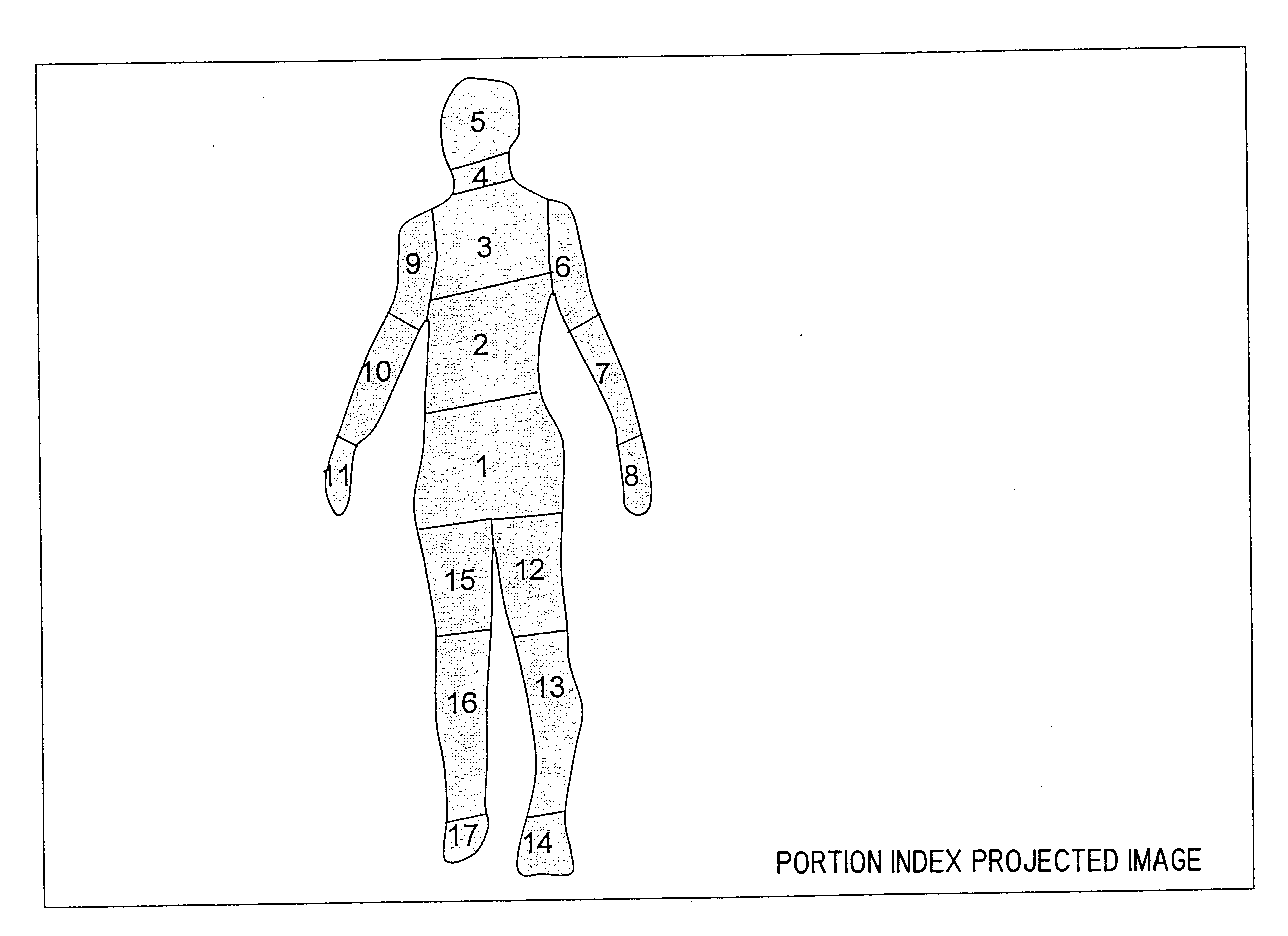 Posture estimation apparatus and method of posture estimation