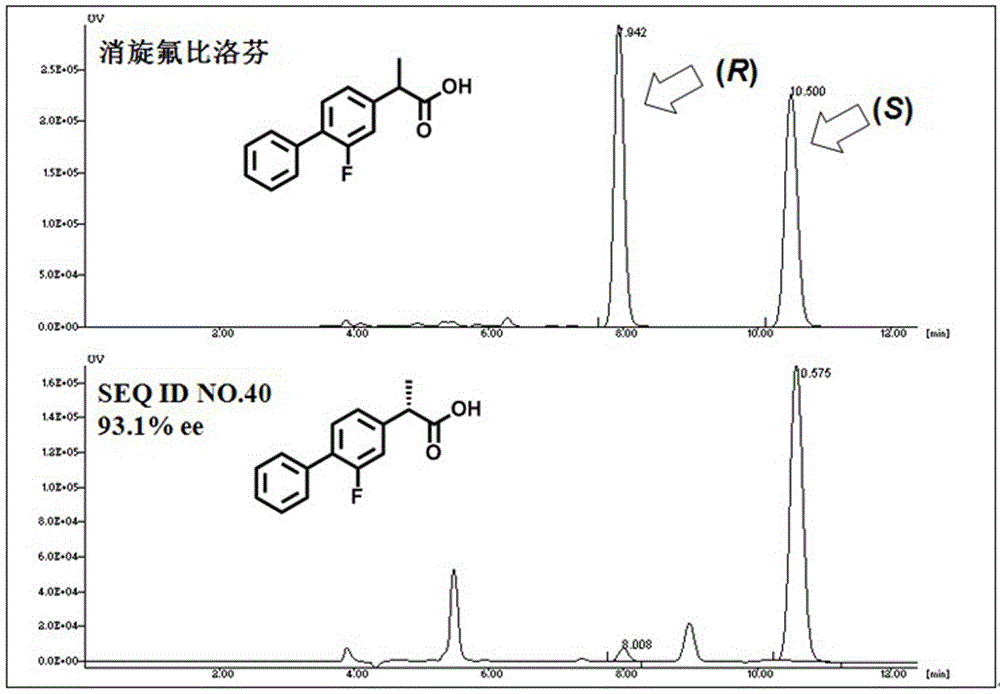 A kind of lipase mutant and its use