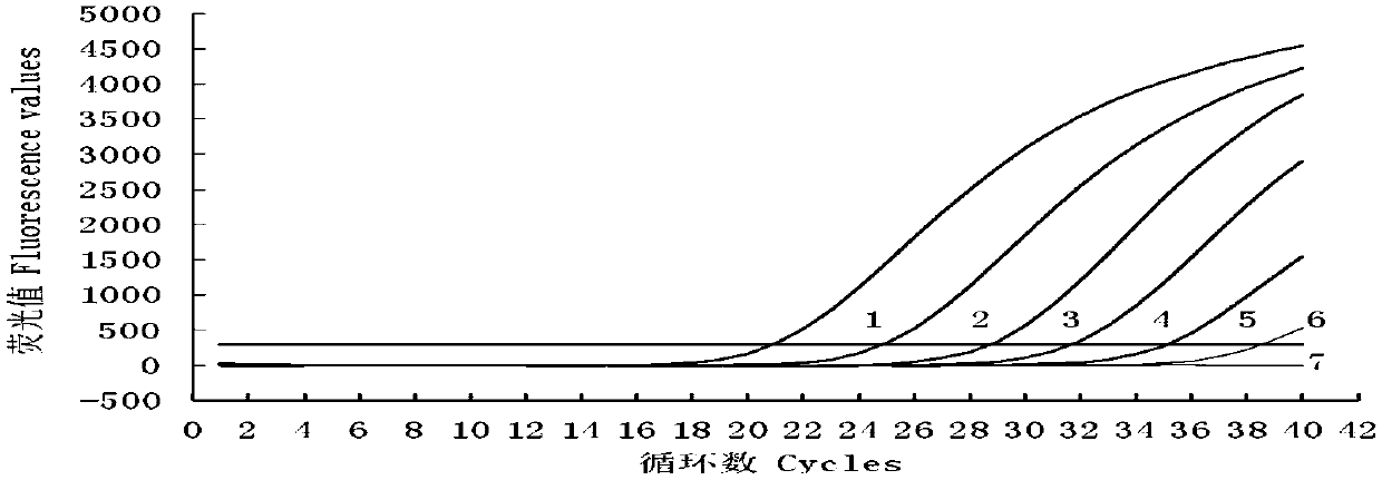 TaqMan fluorogenic quantitative PCR kit and detection method for porcine deltacoronavirus