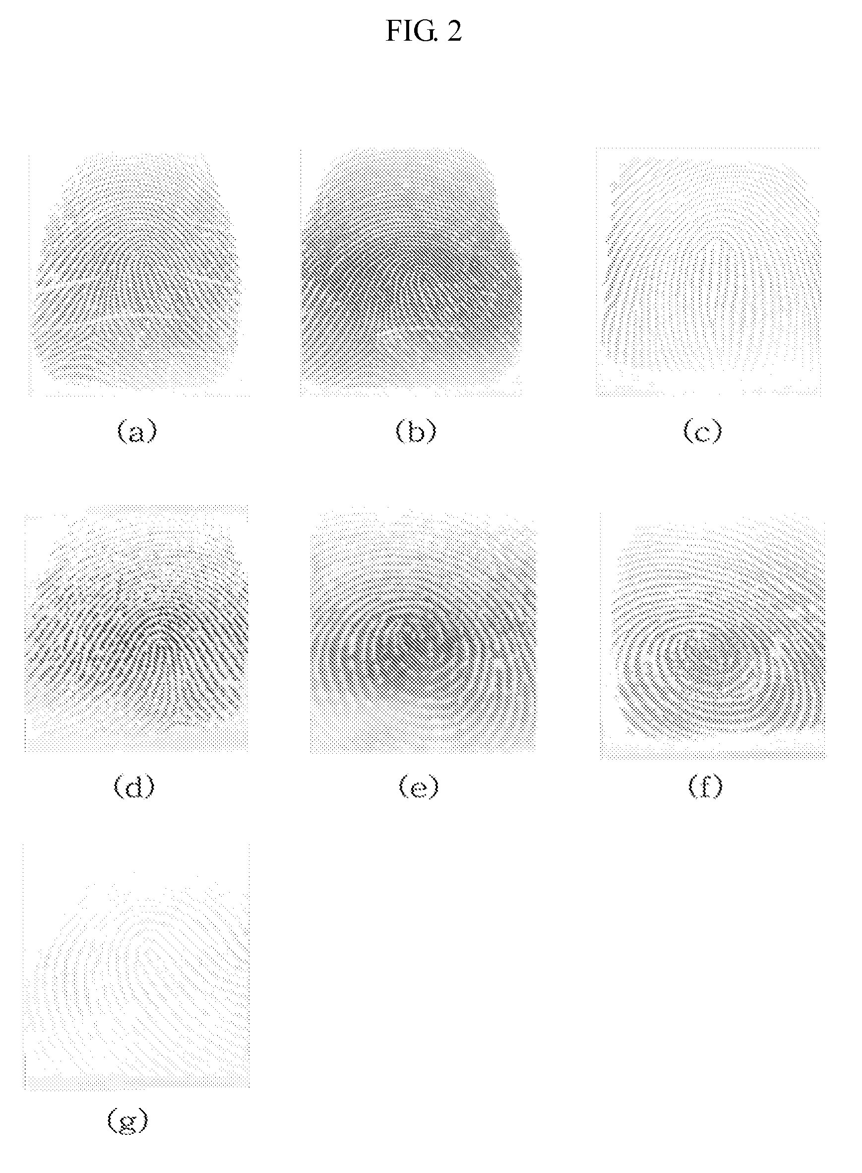 Apparatus for distinguishing living body fingerprint and method thereof