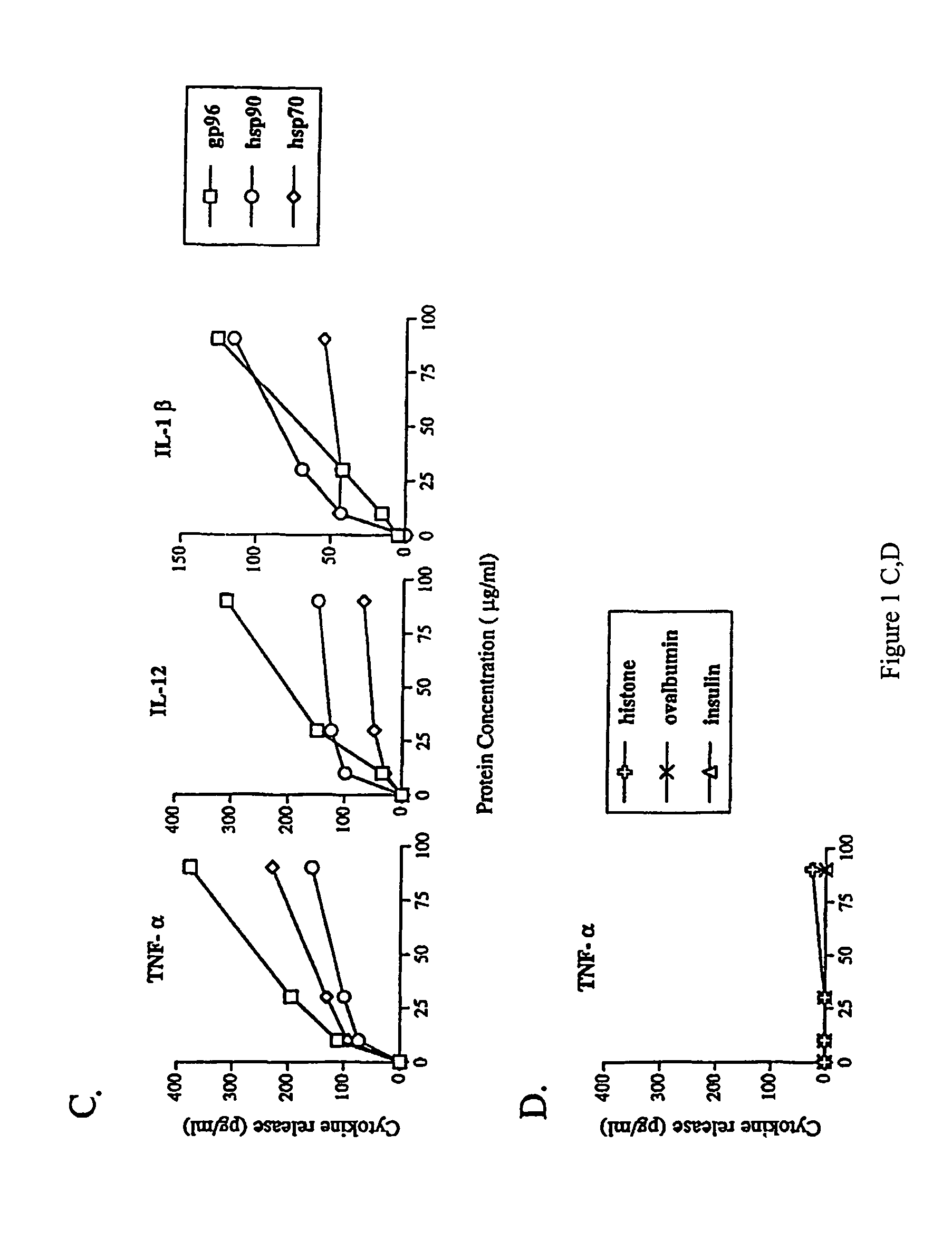 Using heat shock proteins to increase immune response