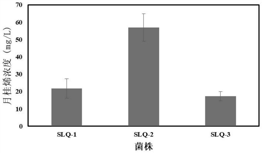 Recombinant saccharomyces cerevisiae as well as construction method and application thereof