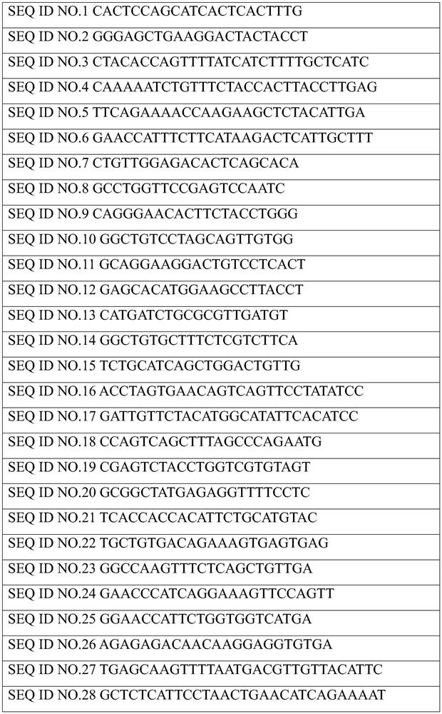 Kit for detecting 15 gene mutation sites related to rectal cancer chemoradiotherapy sensitivity and use thereof