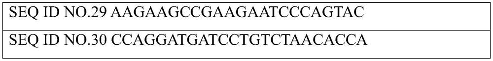 Kit for detecting 15 gene mutation sites related to rectal cancer chemoradiotherapy sensitivity and use thereof