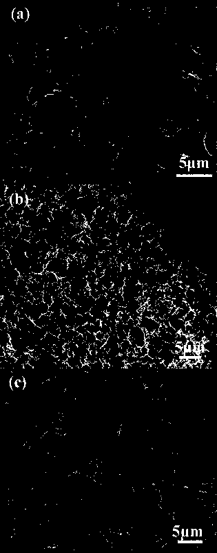 Method for preparing graphene aerogel loaded tin dioxide composite material