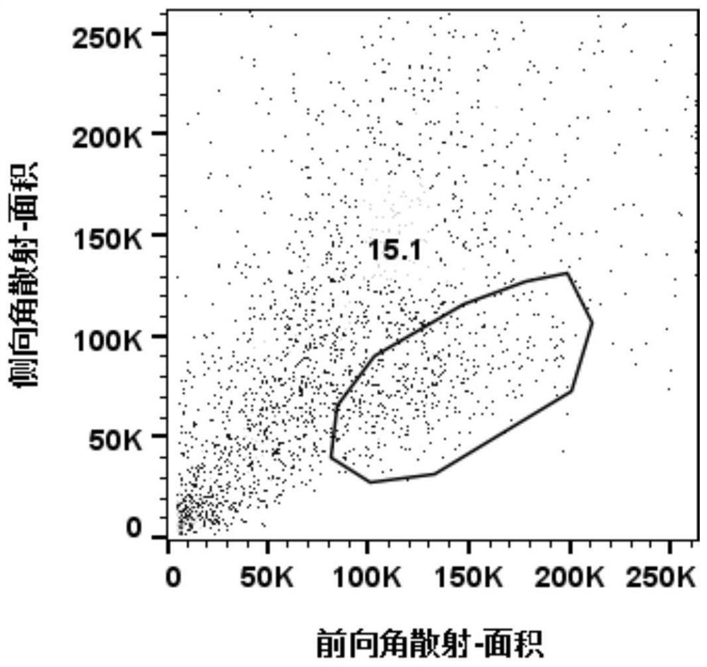 Separation method of human intervertebral disc PROCR &lt; + &gt; nucleus pulposus progenitor cells