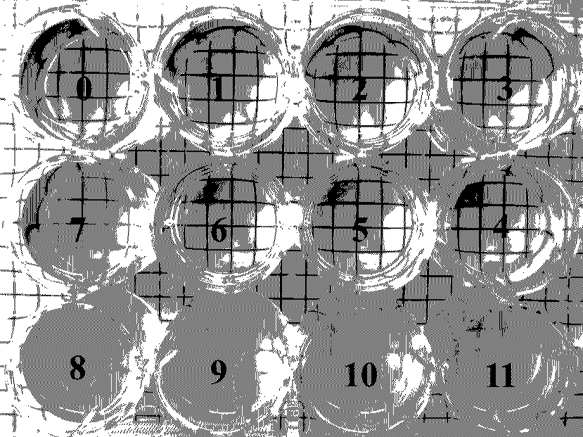 Preparation method of reactive gemini quaternary ammonium salt leather bactericide