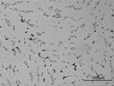 Method for preparing carbon nano tube reinforced aluminium matrix composite by utilizing ultrasound