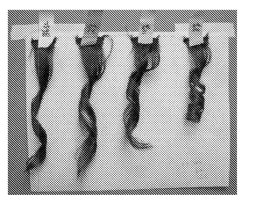 In situ polymerization for hair treatment