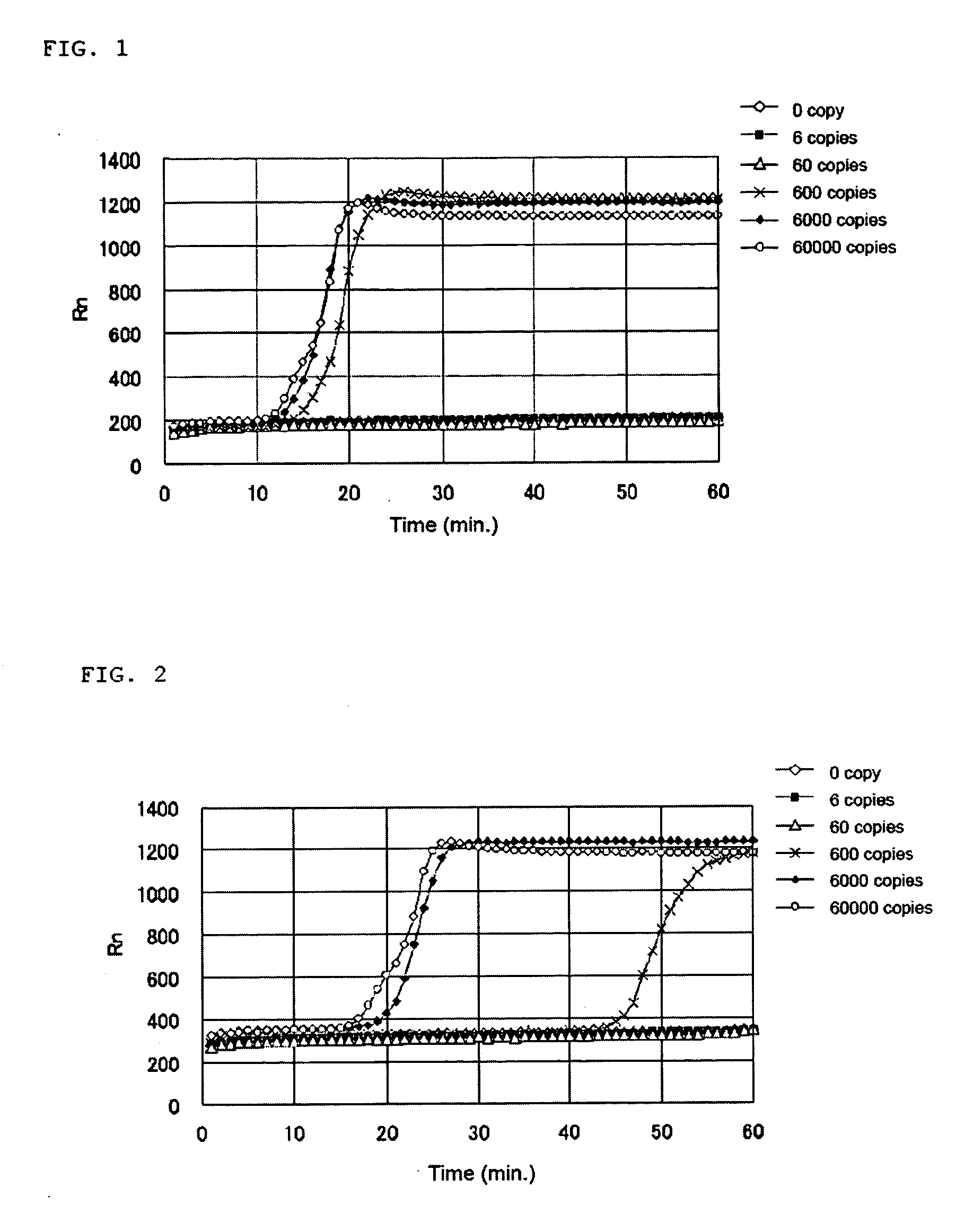 Nucleic acid amplification primers for detecting cytokeratins and examination method with the use of the primers