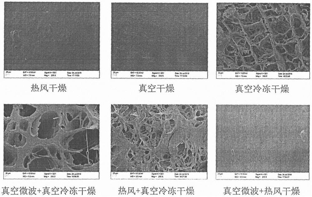 Preparation method of lyophyllum decastes nutritional ingredient powder