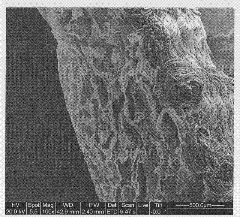 Compound tissue engineering scaffold containing PLGA (poly(lactic-co-glycolic acid) strengthening net, and preparation method and application thereof