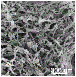 Method of quickly repairing demineralized dentine