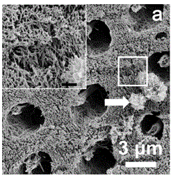 Method of quickly repairing demineralized dentine