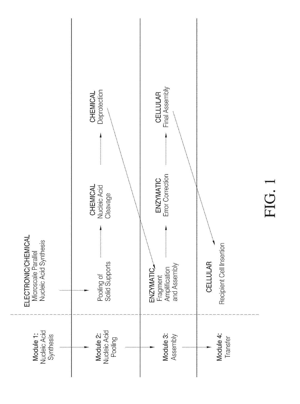 High efficiency, small volume nucleic acid synthesis