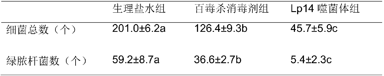 Wide-lysis-spectrum pseudomonas aeruginosa phage and sterilization application thereof