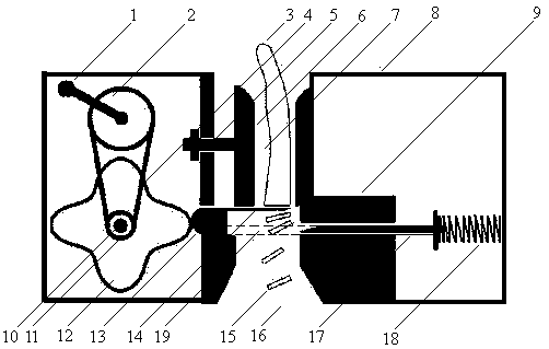 Uniform slice chopping and separating machine