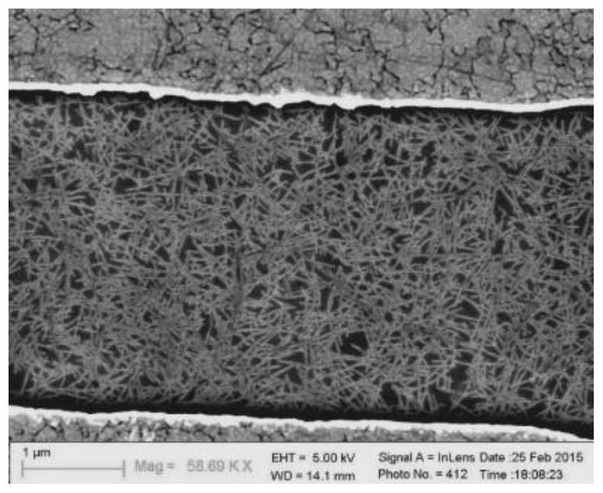 Preparation method of detection electrode for pathogenic bacteria in water environment of construction site