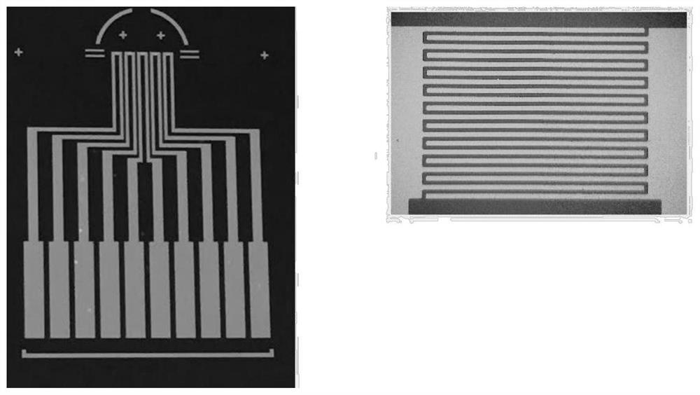 Preparation method of detection electrode for pathogenic bacteria in water environment of construction site