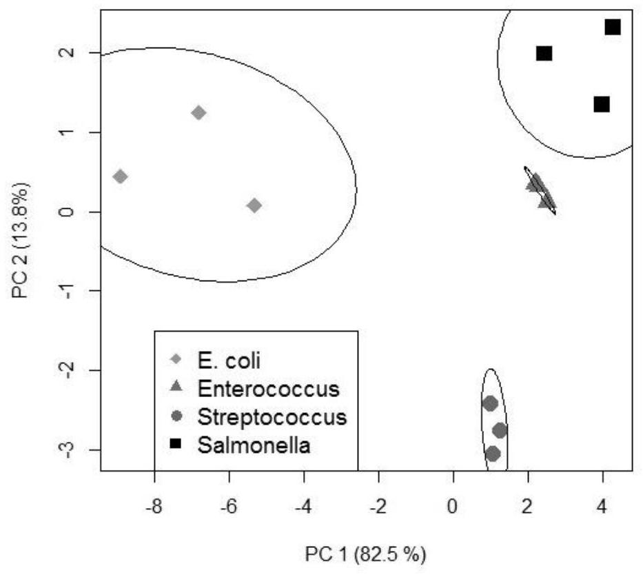 Preparation method of detection electrode for pathogenic bacteria in water environment of construction site