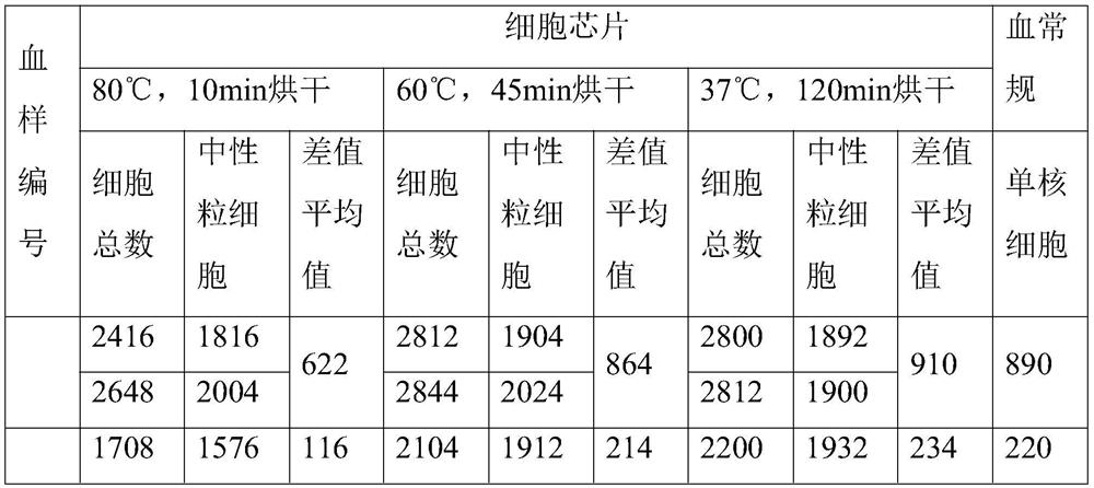 Cell chip as well as detection method and application of cell chip for bacterial infection