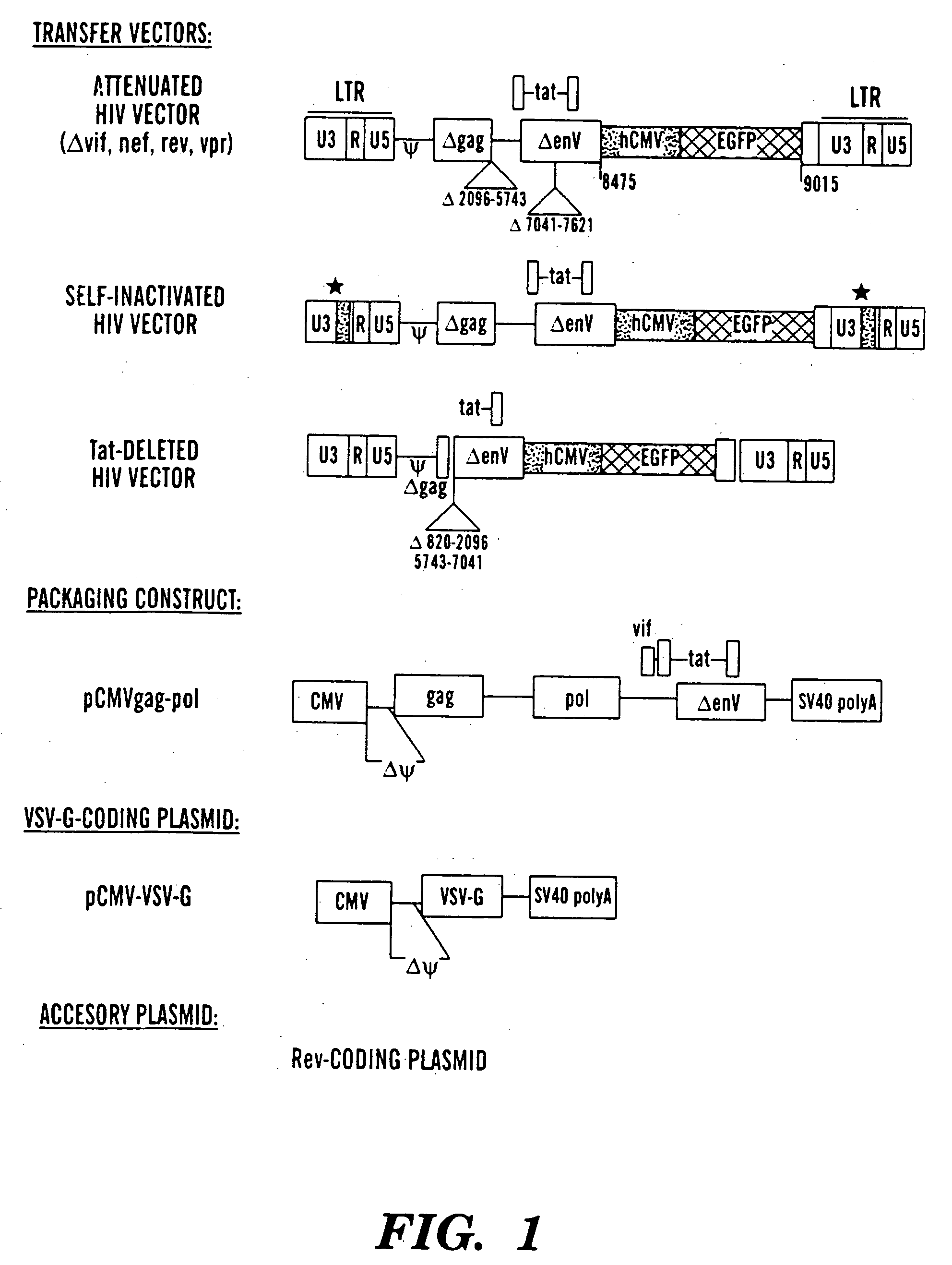 Pseudotyped lentiviral vectors and uses thereof