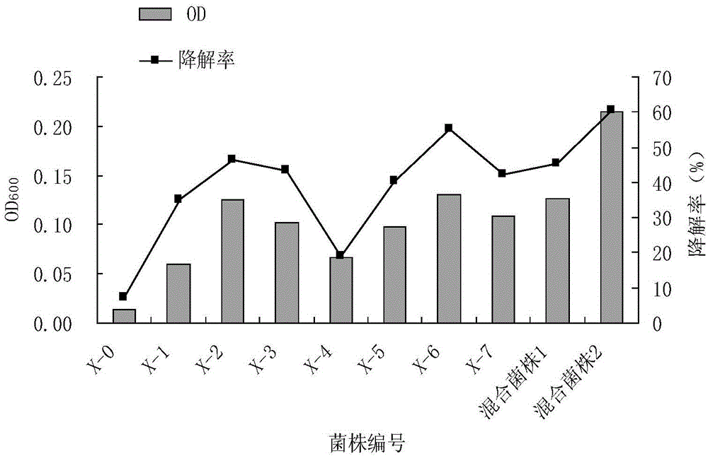 Preparation method of petroleum degrading bacteria solid inoculant and method for restoring petroleum-polluted soil by using prepared solid inoculant