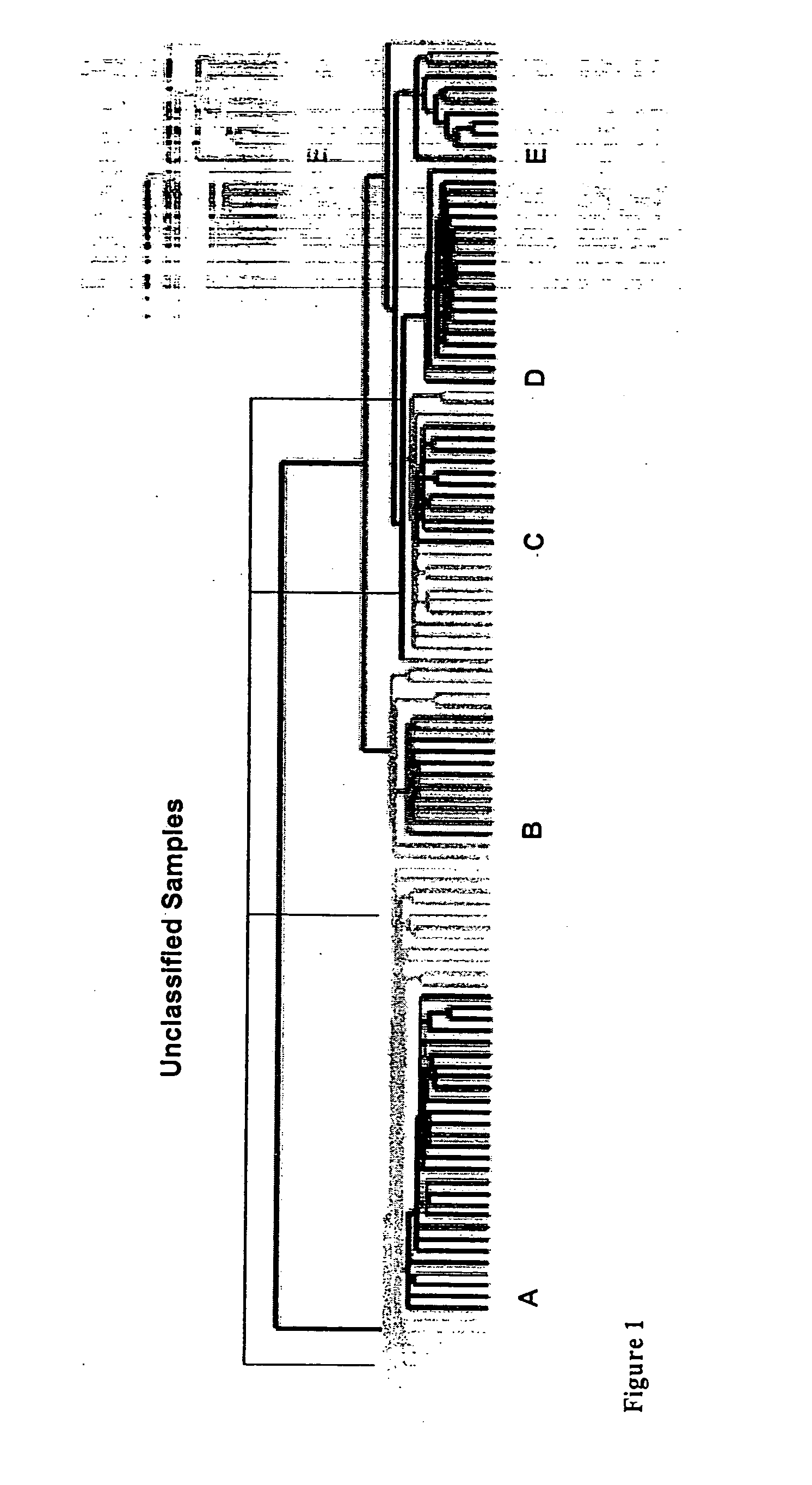 Novel methods for functional analysis of high-throughput experimental data and gene groups identified therefrom