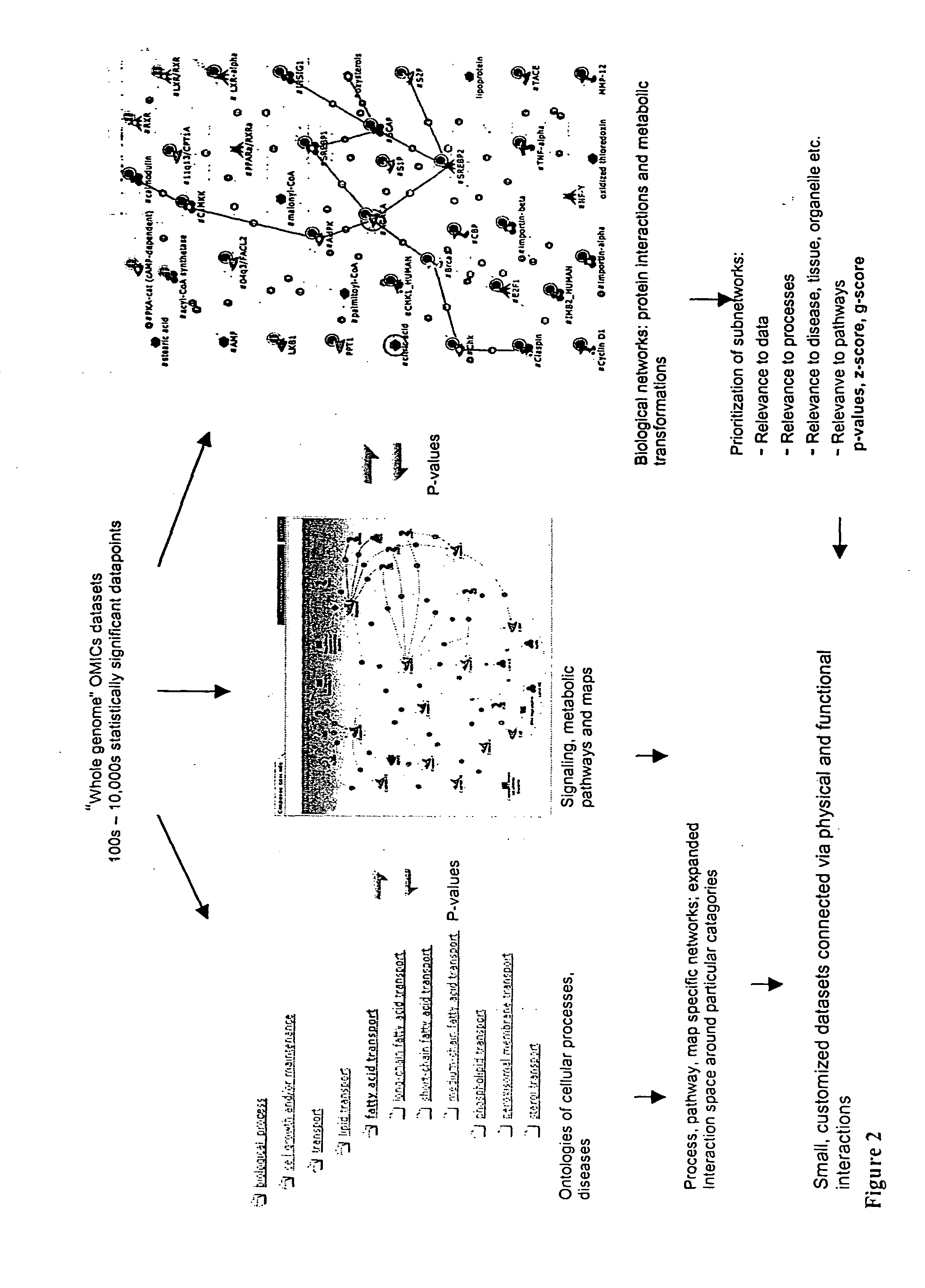 Novel methods for functional analysis of high-throughput experimental data and gene groups identified therefrom