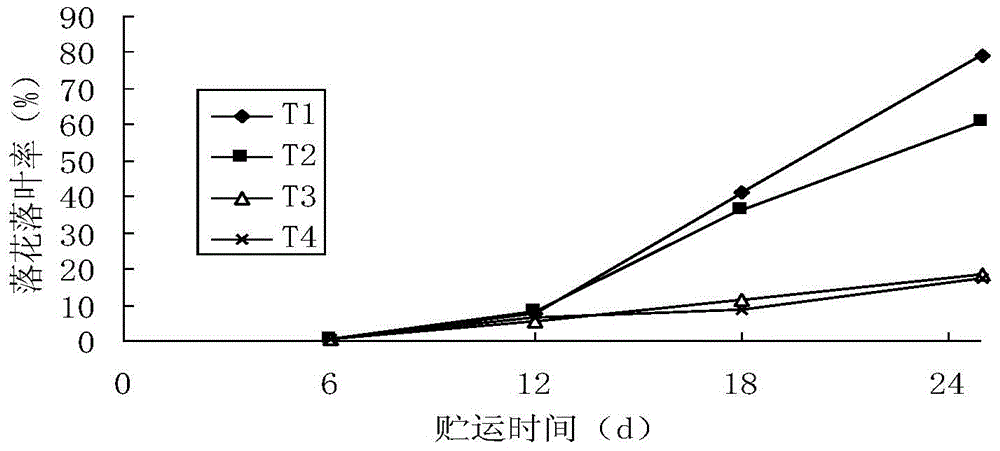 Processing method of improving preservation and storage tolerance of bougainvillea glabra