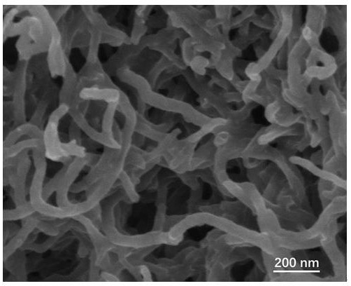 A nitrogen-doped molybdenum disulfide/carbon nanotube composite